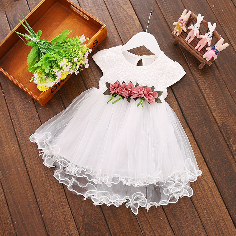 Baby and Toddler Girl Flower Mesh Dress