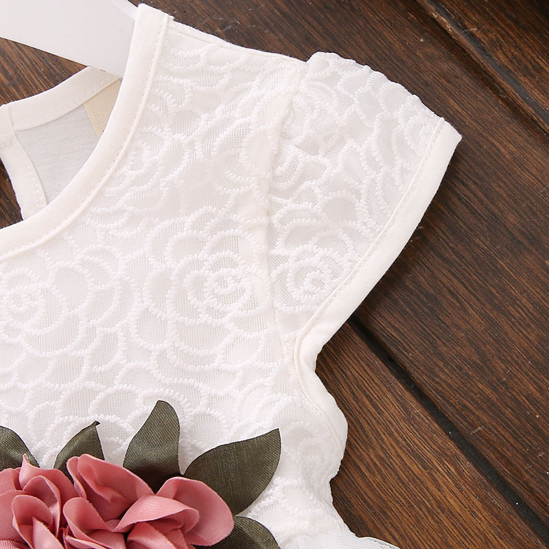 Baby and Toddler Girl Flower Mesh Dress