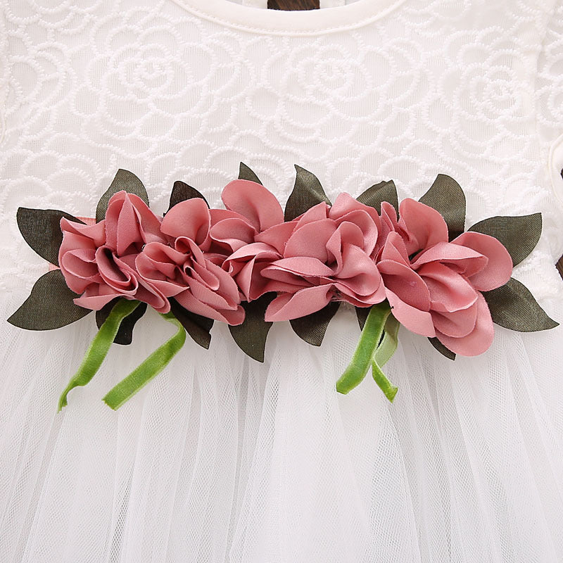 Baby and Toddler Girl Flower Mesh Dress