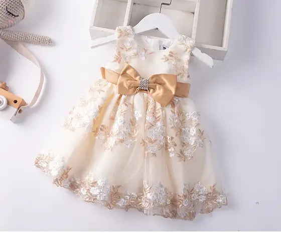 Princess Embroidered Kids Party Dress