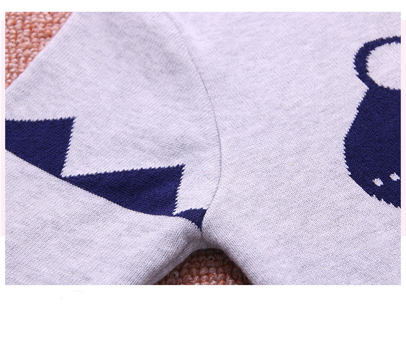 Boys Dinosaur Print long sleeve Sweater